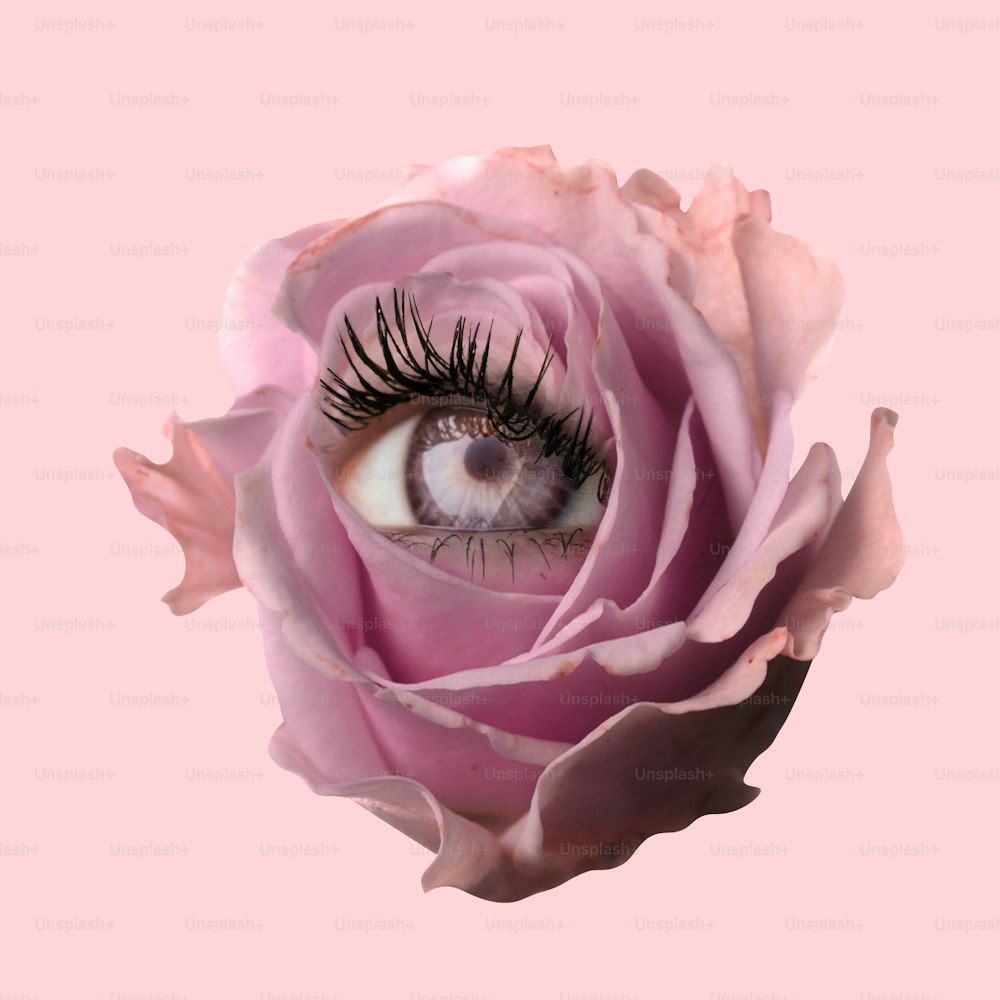 Tenerezza. Fiore di rosa tea con un occhio al suo interno su sfondo rosa. Design moderno. Arte contemporanea. Collage creativo e monocromatico. Bellezza, arte, visione. Bulbo oculare in fiore. Surrealismo, minimalismo