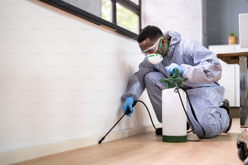 Schädlingsbekämpfungs-Kammerj�äger Mann sprüht Termiten-Pestizid im Büro