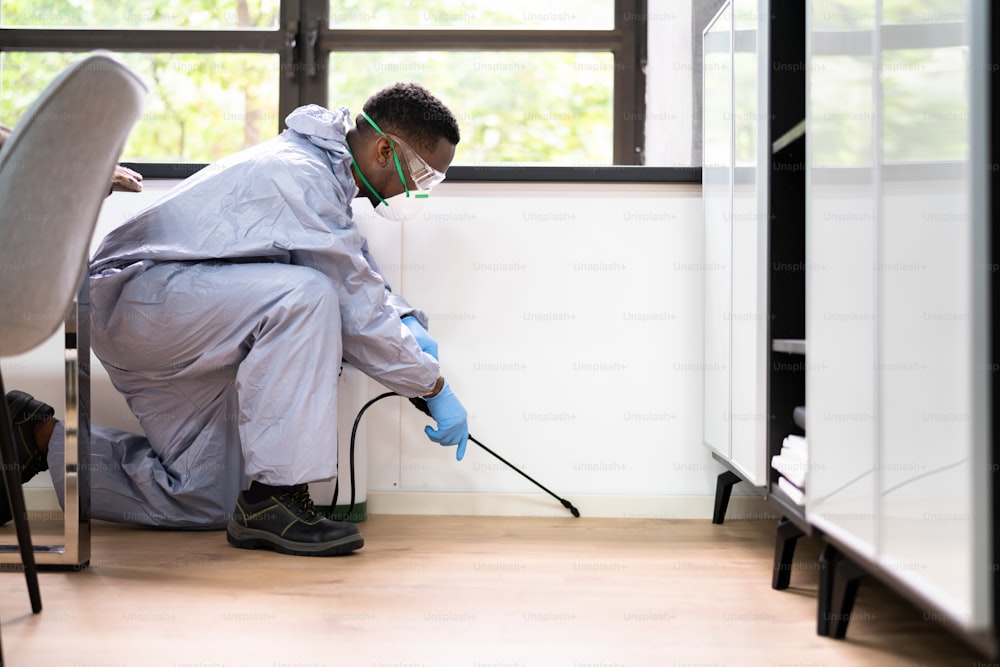 Schädlingsbekämpfungs-Kammerjäger Mann sprüht Termiten-Pestizid im Büro