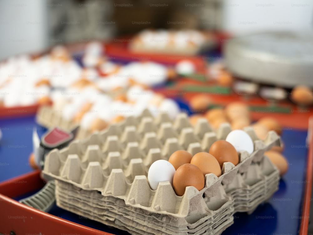 Huevos en la tienda de clasificación en la granja de pollos