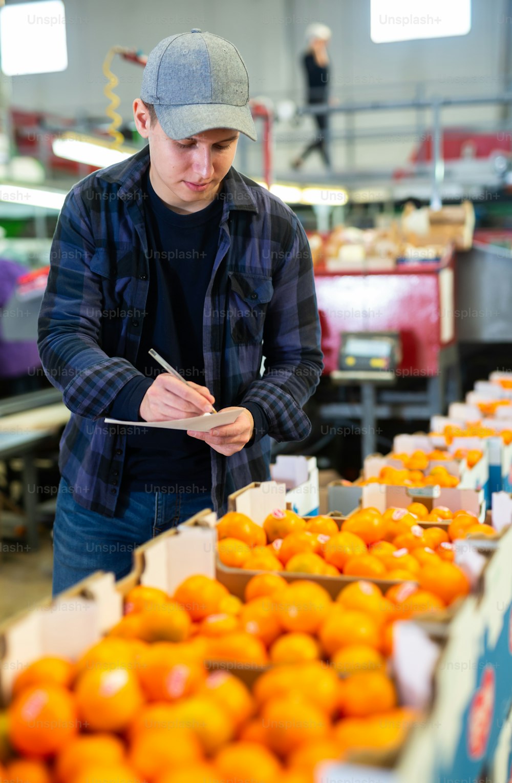 Diligent positive male worker checking work of female employees engaged in tangerines sorting owner on fruit warehouse. Vertical photo.