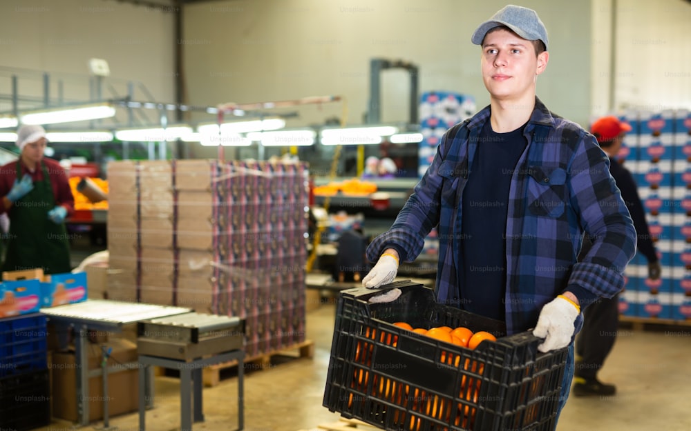 A fruit warehouse worker carries boxes of sorted ripe fresh tangerines in his hands.