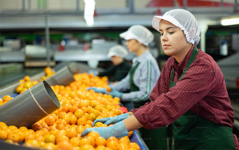 Jovem trabalhadora profissional da fábrica de processamento de frutas verificando tangerinas maduras frescas na correia transportadora da linha de produção de triagem