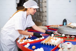 Trabajadora de granja avícola positiva experimentada que trabaja en la máquina clasificadora de huevos, clasificando huevos de gallina frescos por tamaño y empacándolos en bandejas de cartón