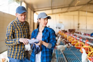 Focused European male and female farmers taking notes and talking during work in henhouse