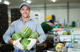 Trabalhador de fábrica de vegetais do sexo masculino que classifica melancias maduras em um transportador