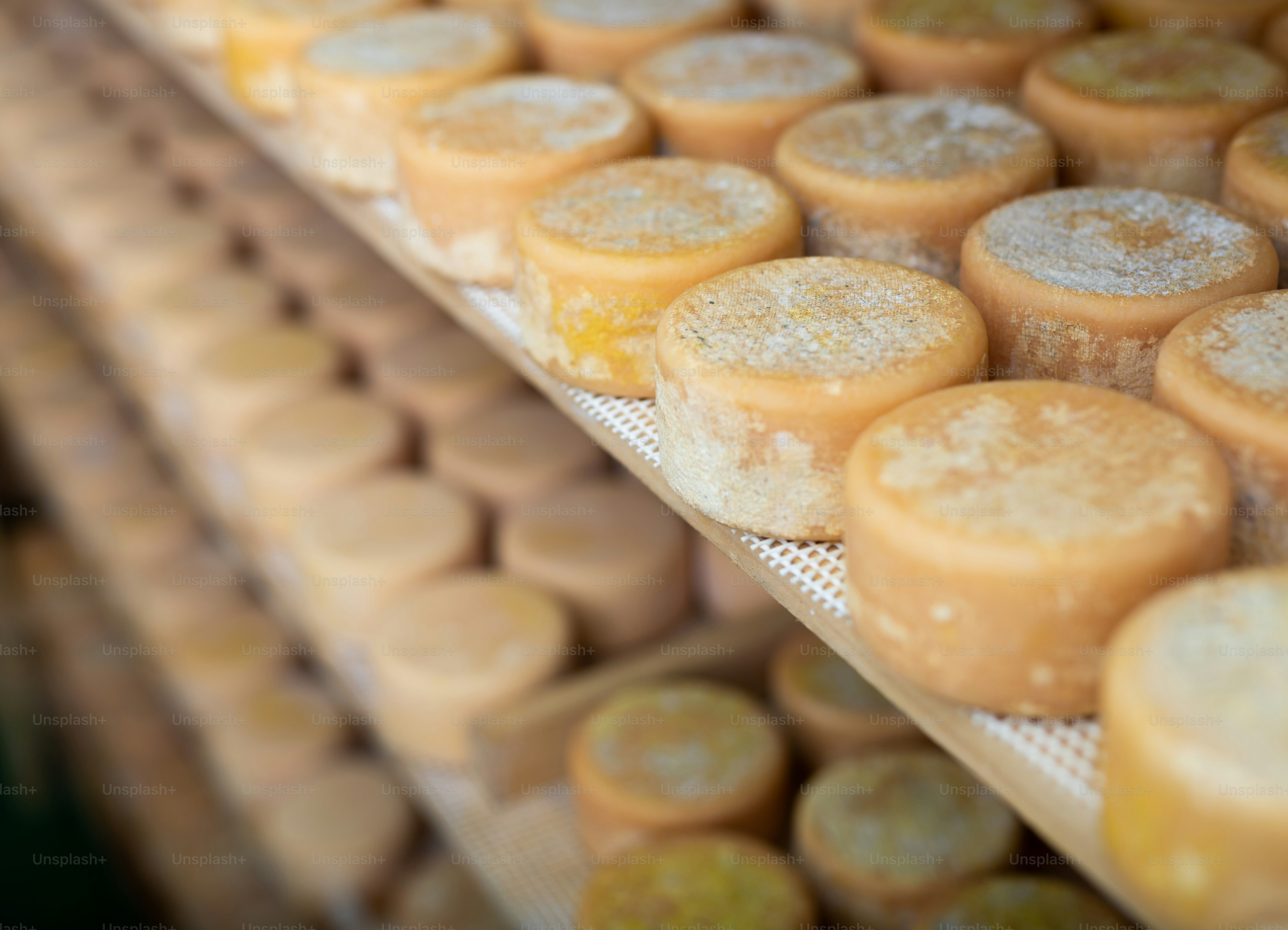 Closeup of shelf stands with abundance of heads of goat cheese arranged to ripen in special cold