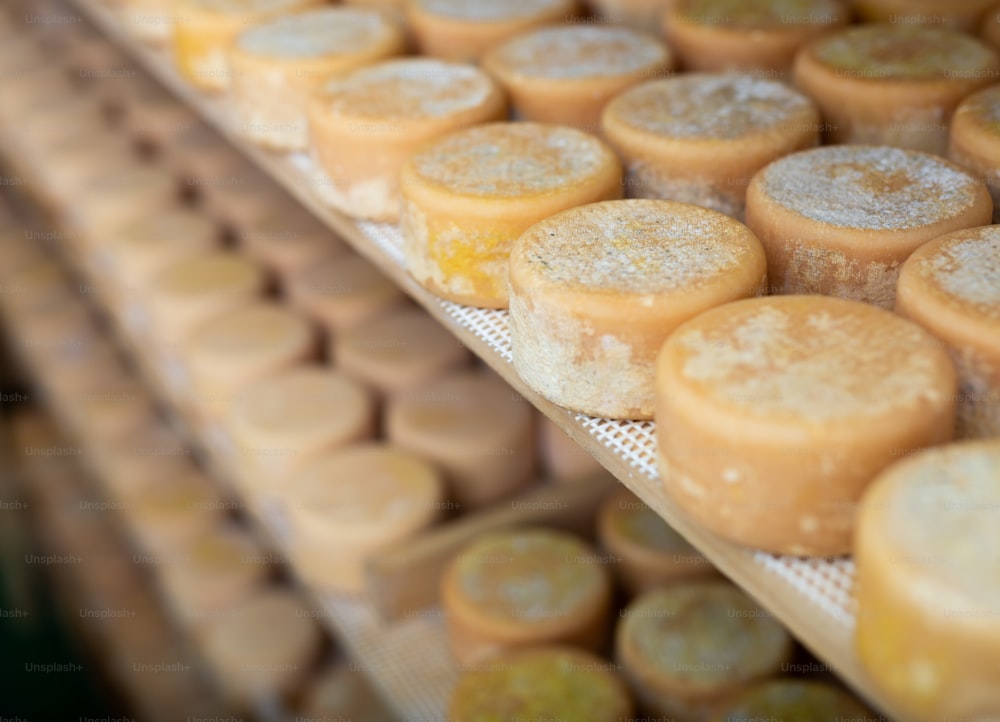Gros plan de stands d’étagère avec une abondance de têtes de fromage de chèvre disposées pour mûrir dans une chambre froide spéciale sur une fromagerie