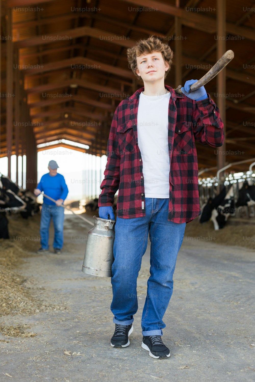 Trabajador agrícola adolescente seguro caminando a través del establo después del trabajo en el fondo del establo con vacas, llevando horcas y latas de leche