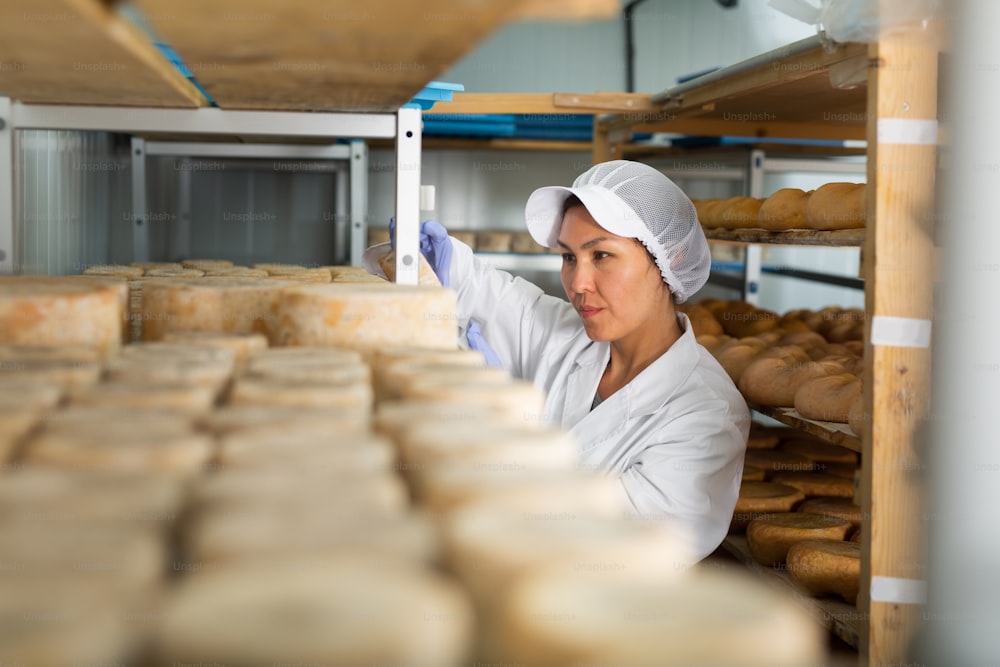 Donna asiatica focalizzata impegnata nella produzione di formaggio vestita in uniforme bianca con berretto e guanti che esamina la qualità del formaggio di capra nella stanza di stagionatura del caseificio