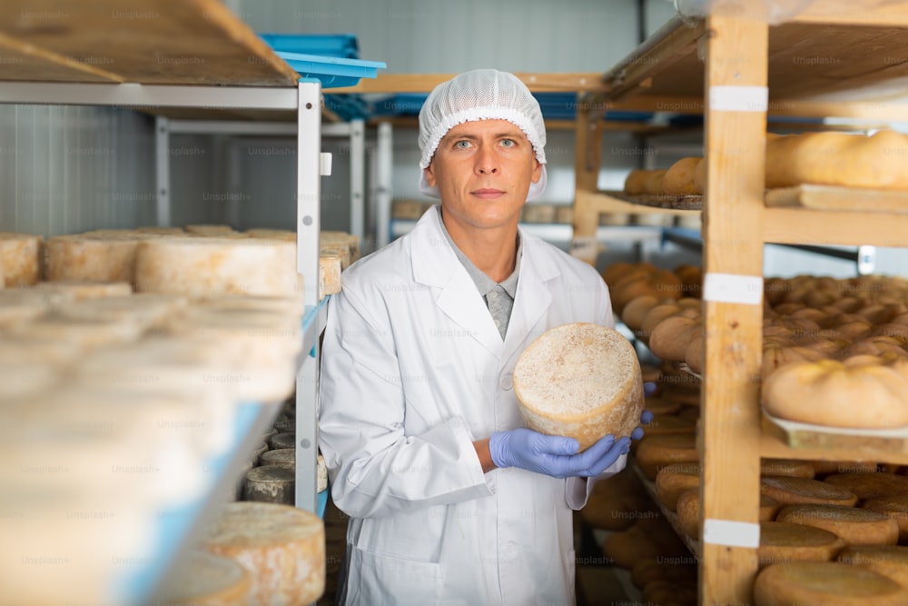 Professional cheese maker controlling maturing process of goat cheese wheels placed on shelves of storehouse at factory