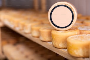 Cabeza de queso en el estante de una quesería