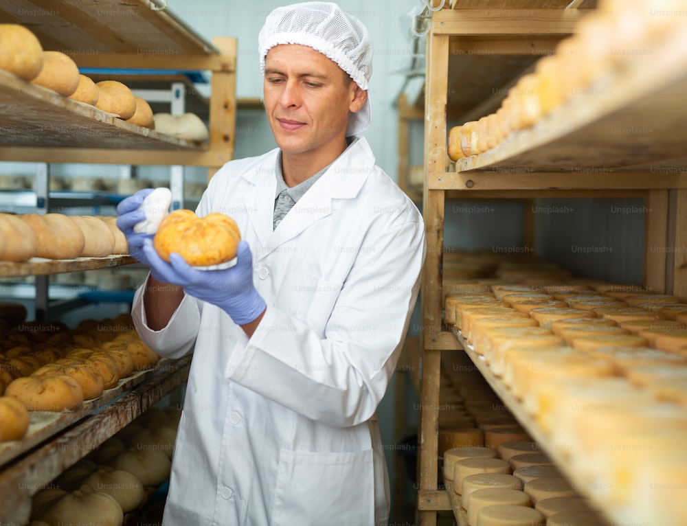Hombre enfocado dedicado a la fabricación de queso vestido con uniforme blanco con gorra y guantes examinando la calidad del queso de cabra en la sala de maduración de la fábrica de queso