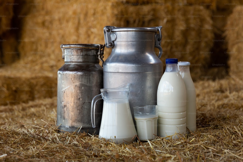 Decanter de vidro, latas de alumínio e garrafas com leite natural fresco no feno no palheiro da fazenda leiteira. Produtos agrícolas saudáveis