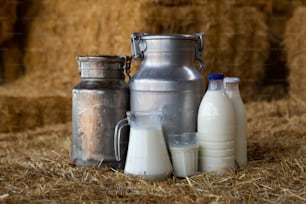 Glaskaraffe, Aluminiumdosen und Flaschen mit frischer Naturmilch auf Heu auf dem Heuboden des Milchviehbetriebs. Gesunde landwirtschaftliche Produkte