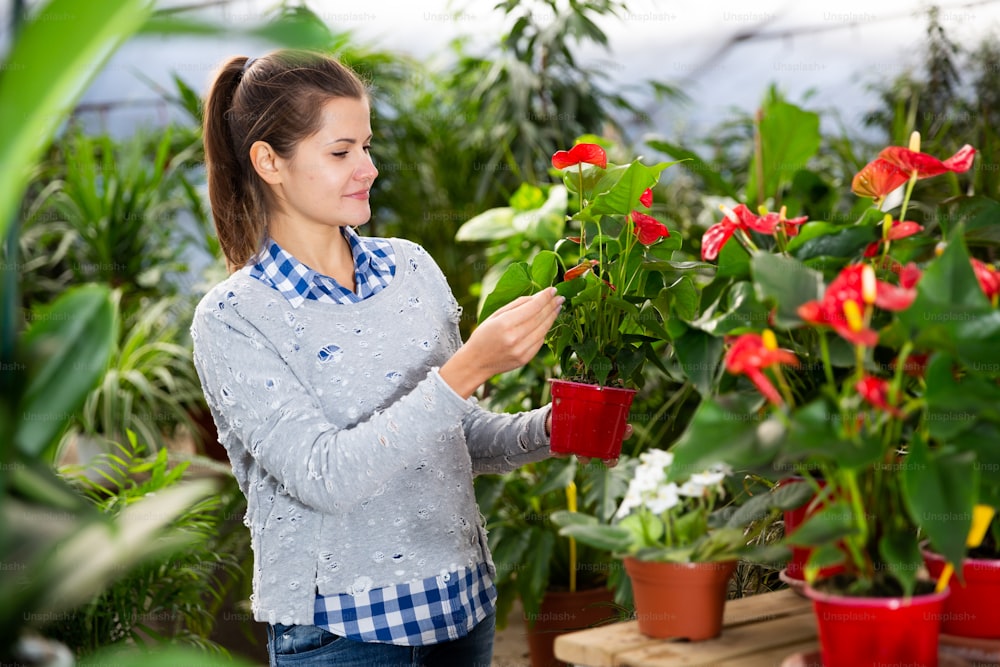 Experienced female florist inspecting potted plants in his floral shop