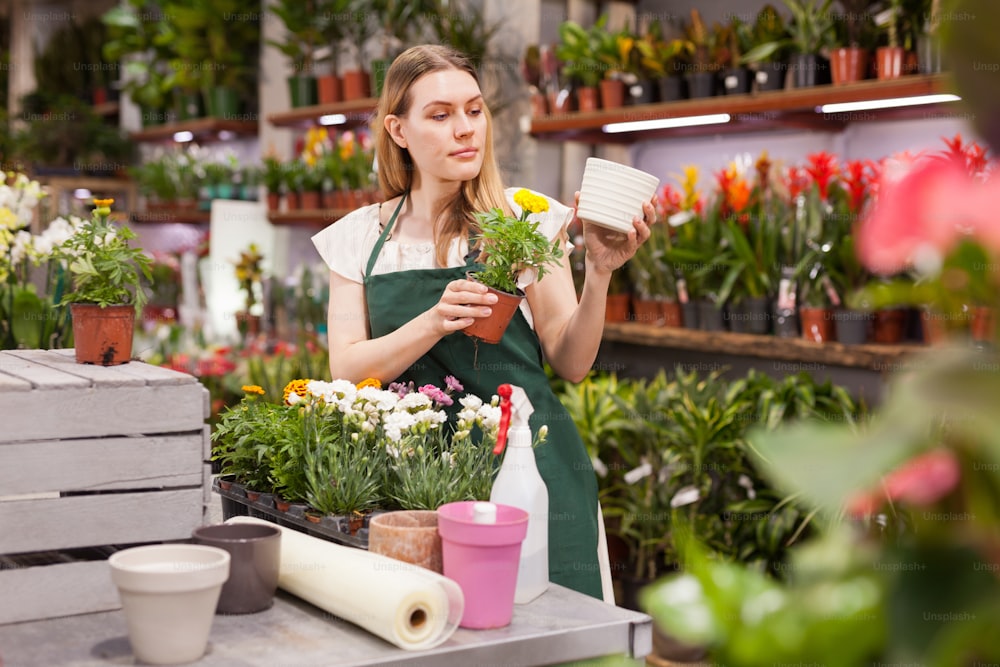 Floristin, die in einem Blumenladen arbeitet und Zimmerpflanzen für den Kunden vorbereitet