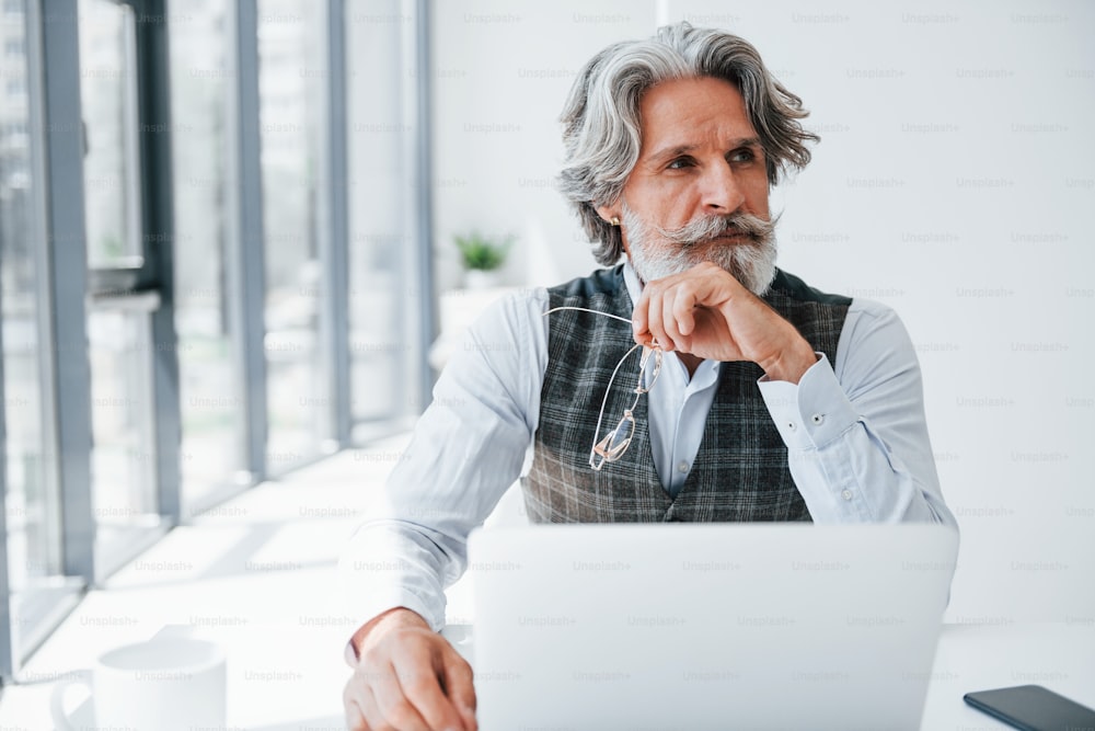 Senior stilvoller moderner Mann mit grauen Haaren und Bart drinnen.