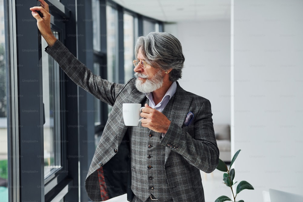 Geschäftsmann im Büro. Senior stilvoller moderner Mann mit grauen Haaren und Bart drinnen.