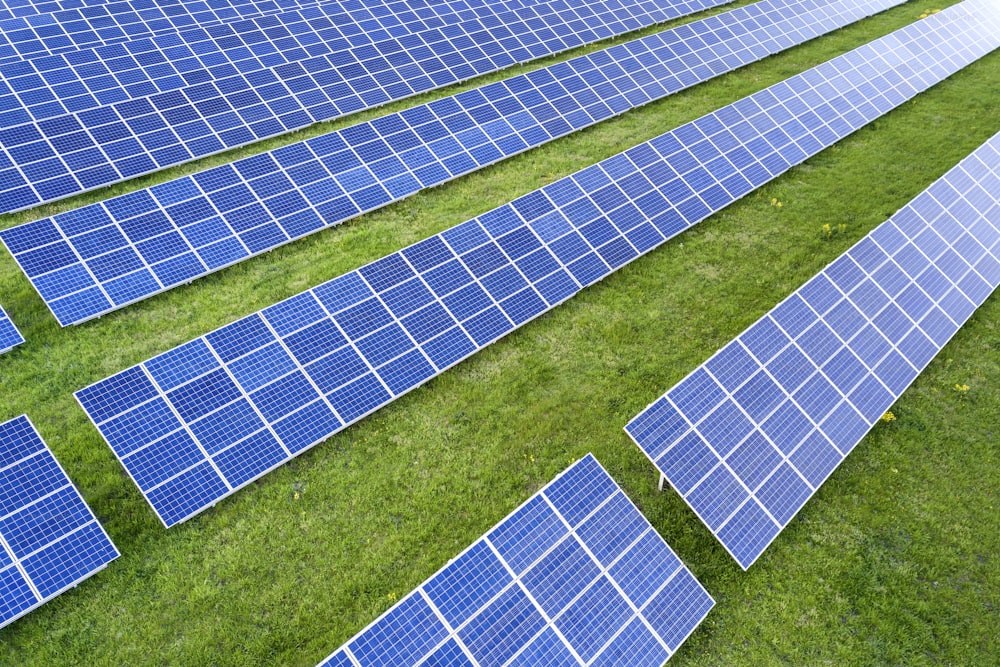 Surface of solar photo voltaic panels system producing renewable clean energy on green grass background.