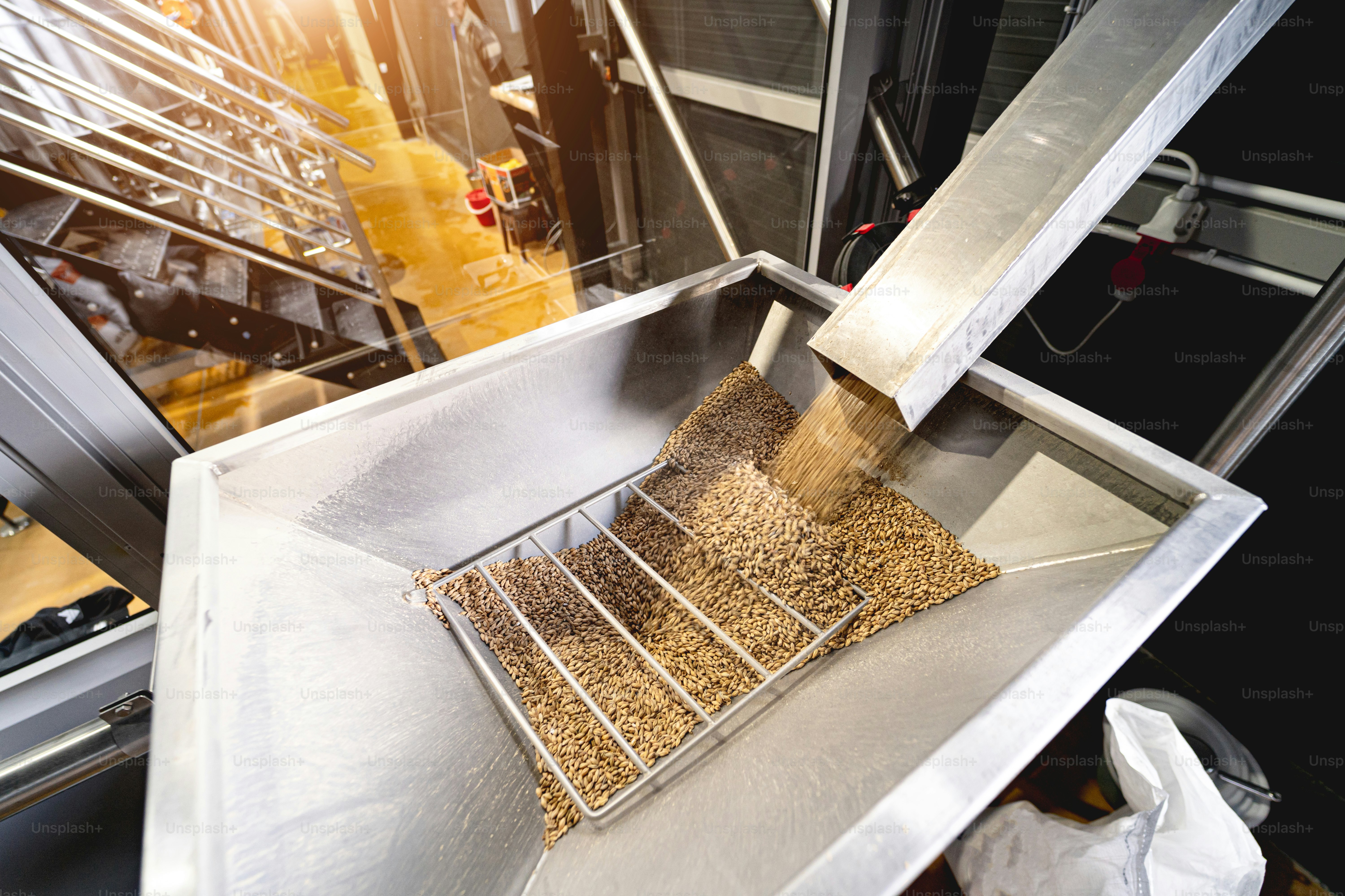 The technological process of grinding malt seeds at the mill. photo