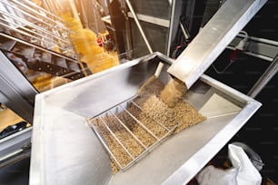 Der technologische Prozess des Mahlens von Malzsamen in der Mühle.