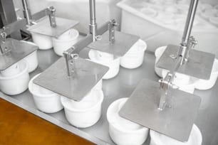 Pressen von Käse in den Kunststoffformen mit professioneller Pressmaschine bei der Käseherstellung