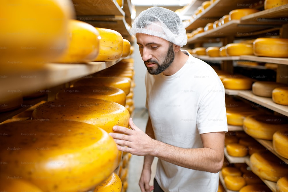 Worker checking the cheese quality at the storage with shelves full of cheese wheels during the aging process