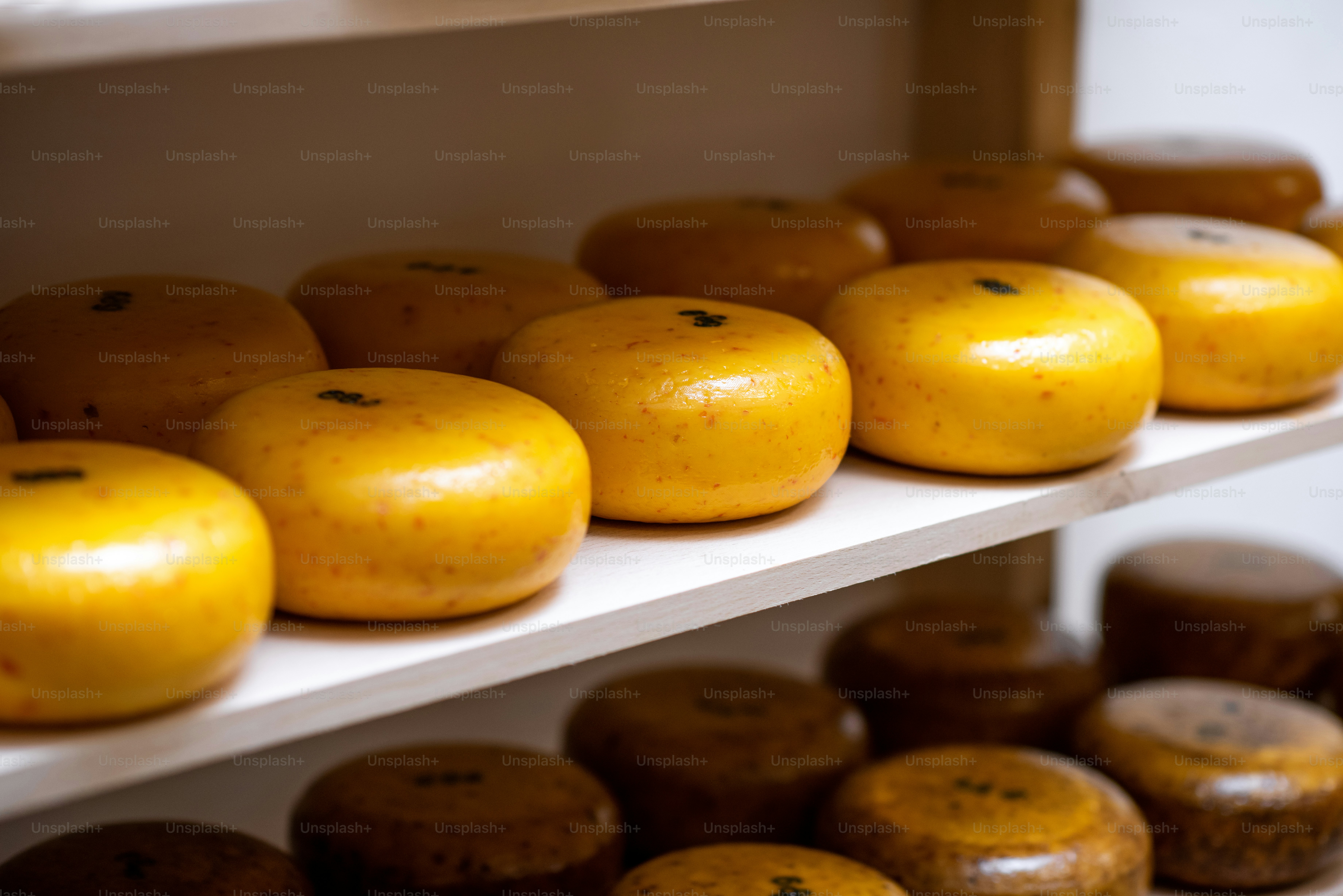 Käselaibe im Regal des Lagers während des Reifeprozesses