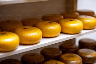 Cheese wheels on the shelf of the storage during the aging process