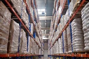 Aisle between the shelving units with cardboard boxes stacked on the pallets in the storehouse