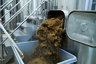 Trabajador de la cervecería retira el grano gastado del tanque