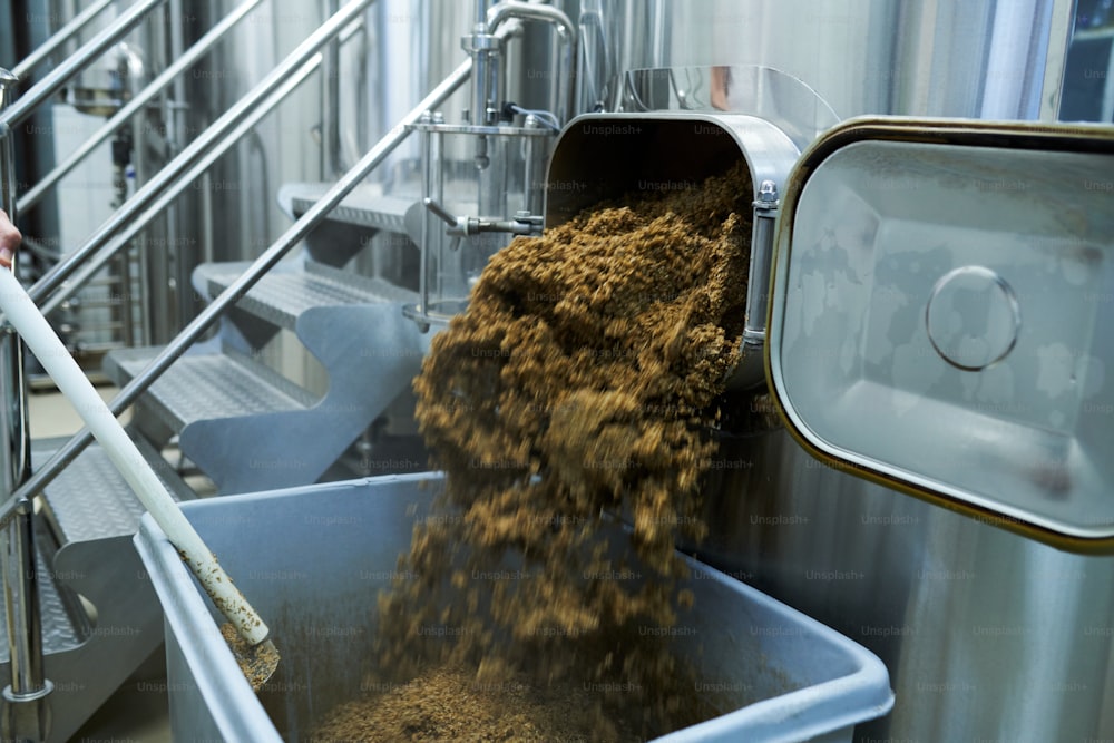 Brewery worker removing spent grain from tank