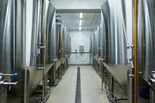 Microbrewery interior with many still tanks full of fermintating beer