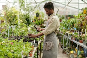 Giovane fiorista africano in abbigliamento da lavoro che scatta foto delle piante sul suo smartphone per i social media