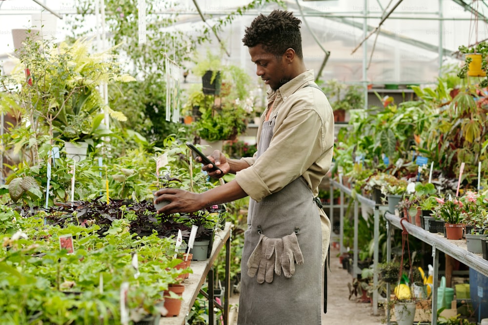 Joven florista africano en ropa de trabajo tomando fotos de plantas en su teléfono inteligente para las redes sociales