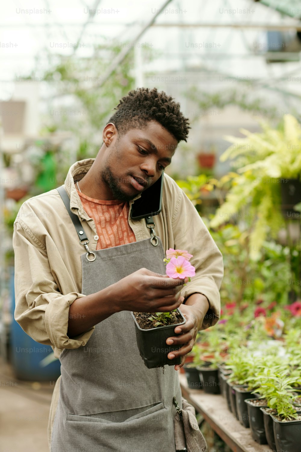 African young florist holding small pink flower in his hands and telling about it by mobile phone to customer