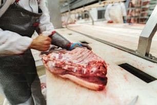 Workers at meet industry handle meat organizing packing shipping loading at meat factory.