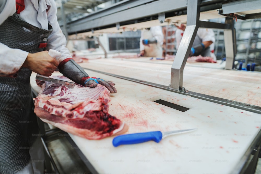 I lavoratori dell'industria incontrano gestire la carne organizzando il carico di spedizione dell'imballaggio presso la fabbrica di carne.
