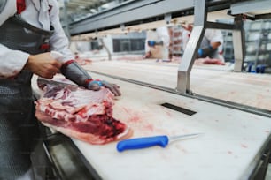 Workers at meet industry handle meat organizing packing shipping loading at meat factory.