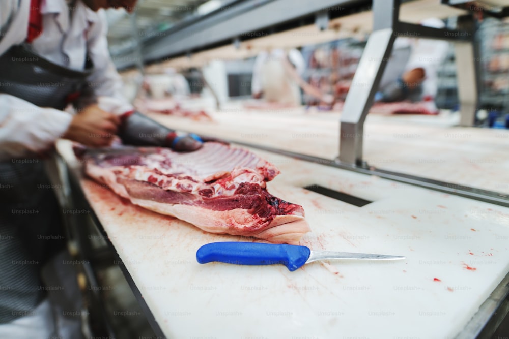 I lavoratori dell'industria incontrano gestire la carne organizzando il carico di spedizione dell'imballaggio presso la fabbrica di carne.