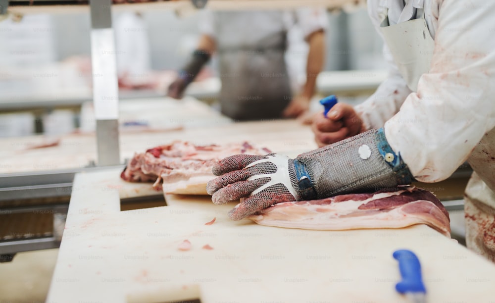 Workers at meet industry handle meat organizing packing shipping loading at meat factory.