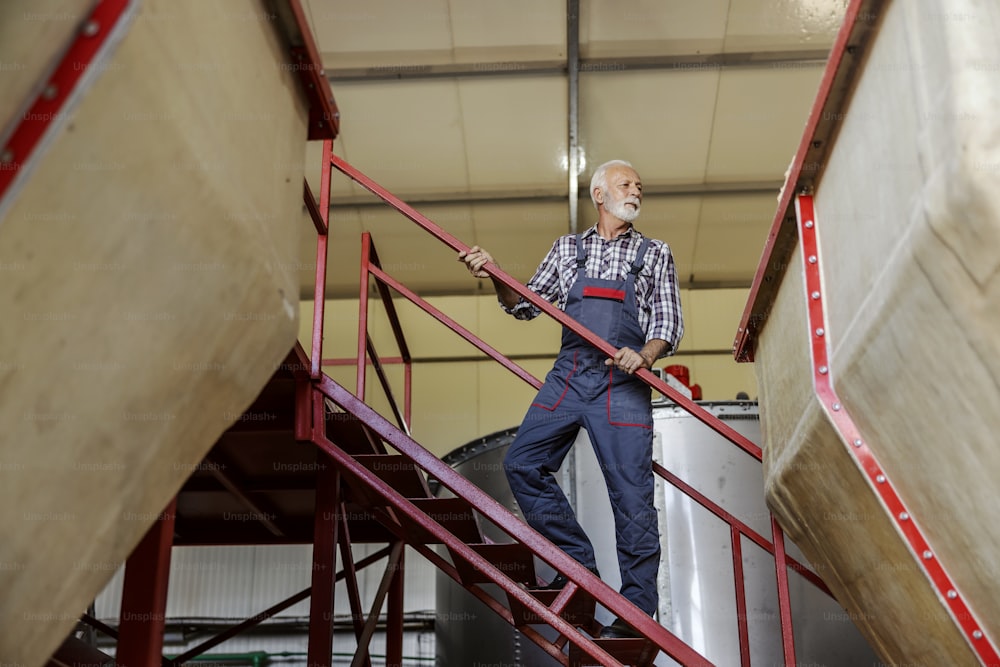 Operaio anziano laborioso che sale le scale e controlla i silos con materie prime semi-grezze. Industria alimentare e agroalimentare. Controllo operaio sulla produzione.