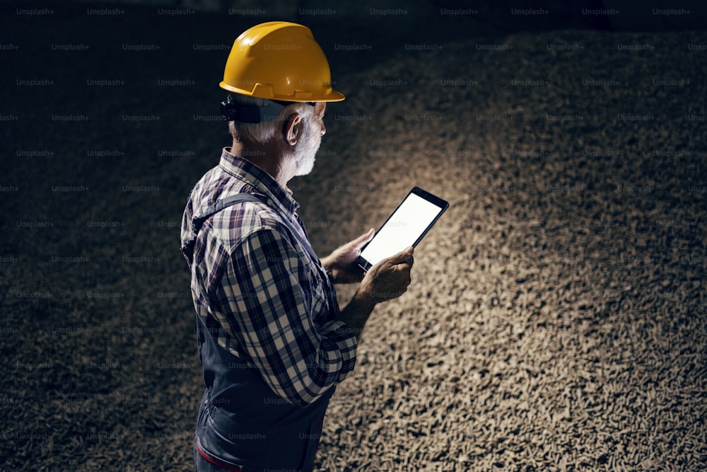 Quality control of semi-raw products in the food industry. Rear view of a senior quality controller with a helmet on his head standing in a factory hall full of sugar beet products and holding a tablet.