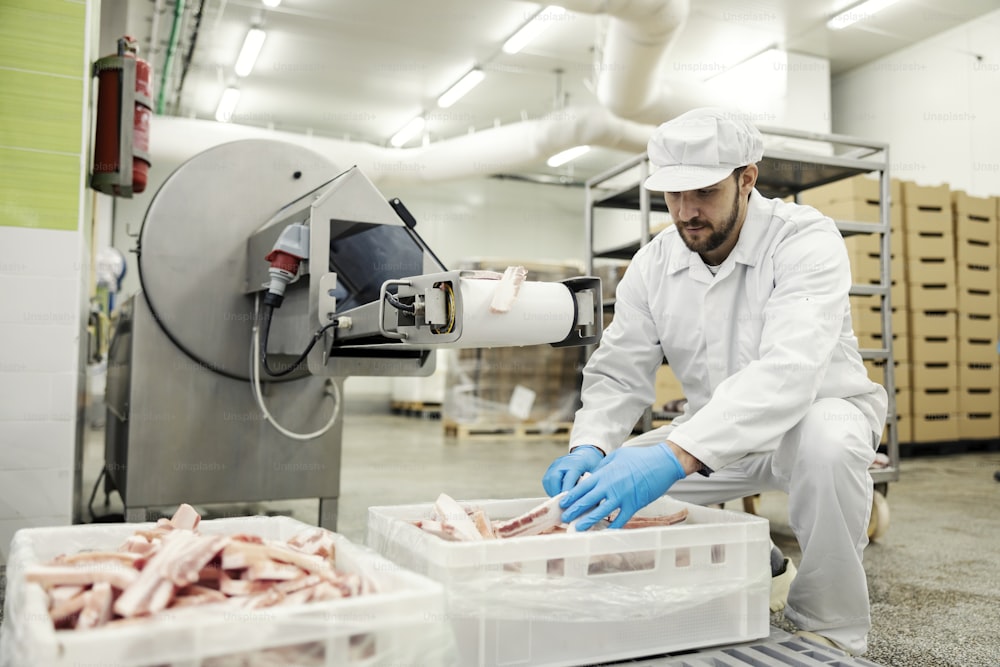 A food factory worker works with bacon and counts it while crouching next to a conveyor belt.