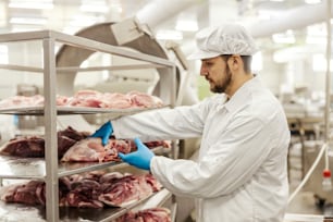Un trabajador de la industria cárnica está tomando un trozo de carne fresca y preparándola para su posterior procesamiento.