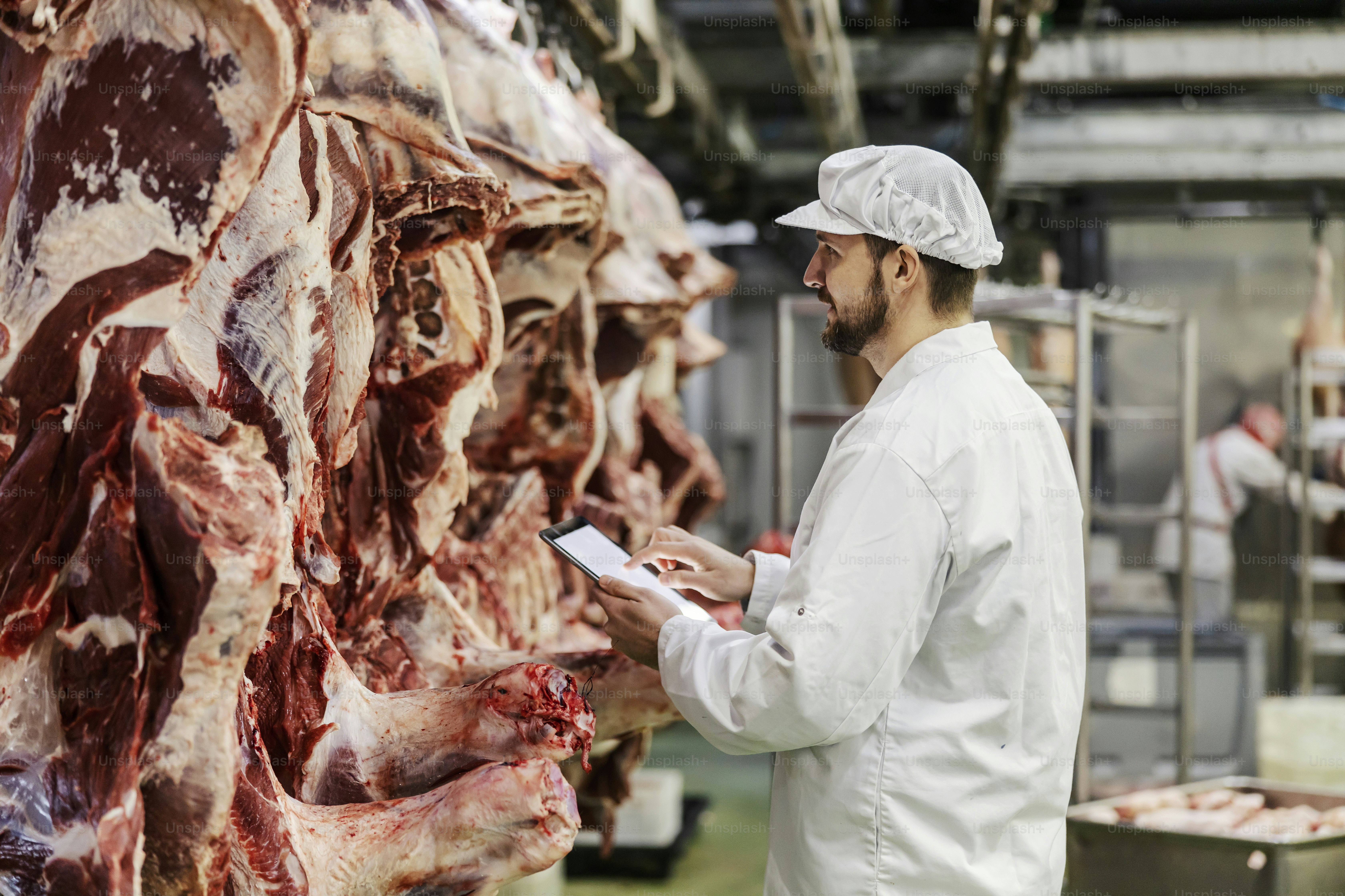A meat factory supervisor is assessing quality of meat while using tablet.