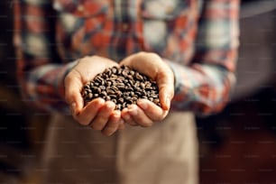 Close up of woman's hands holding coffee beans in coffee factory.