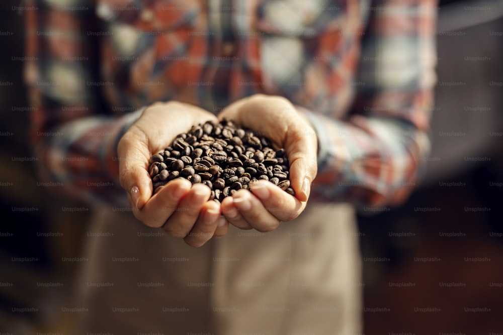 Close up das mãos da mulher segurando grãos de café na fábrica de café.