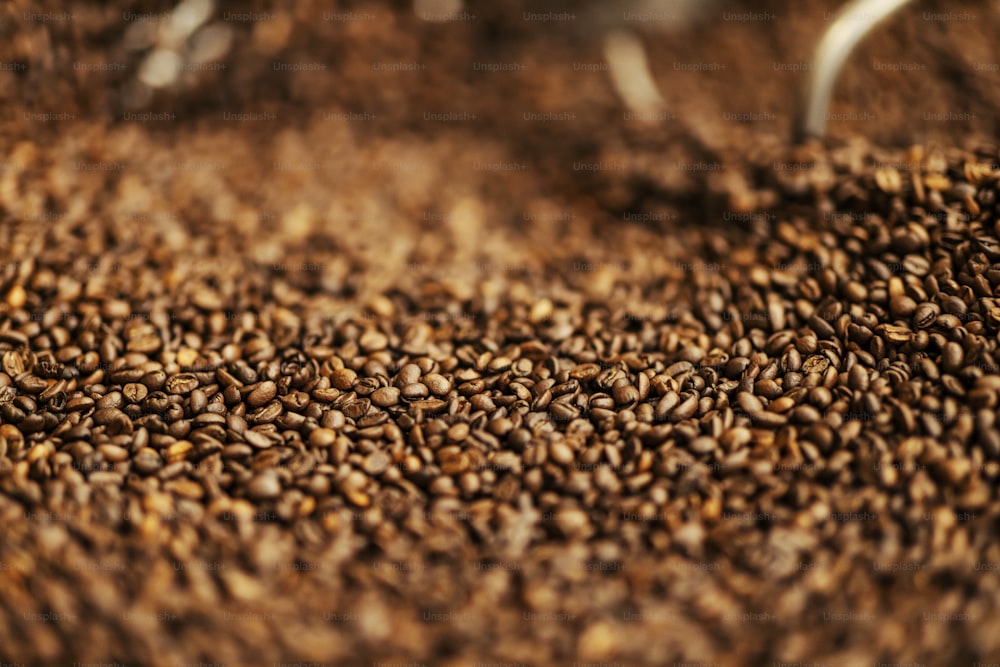 Primer plano del tostado de granos de café.